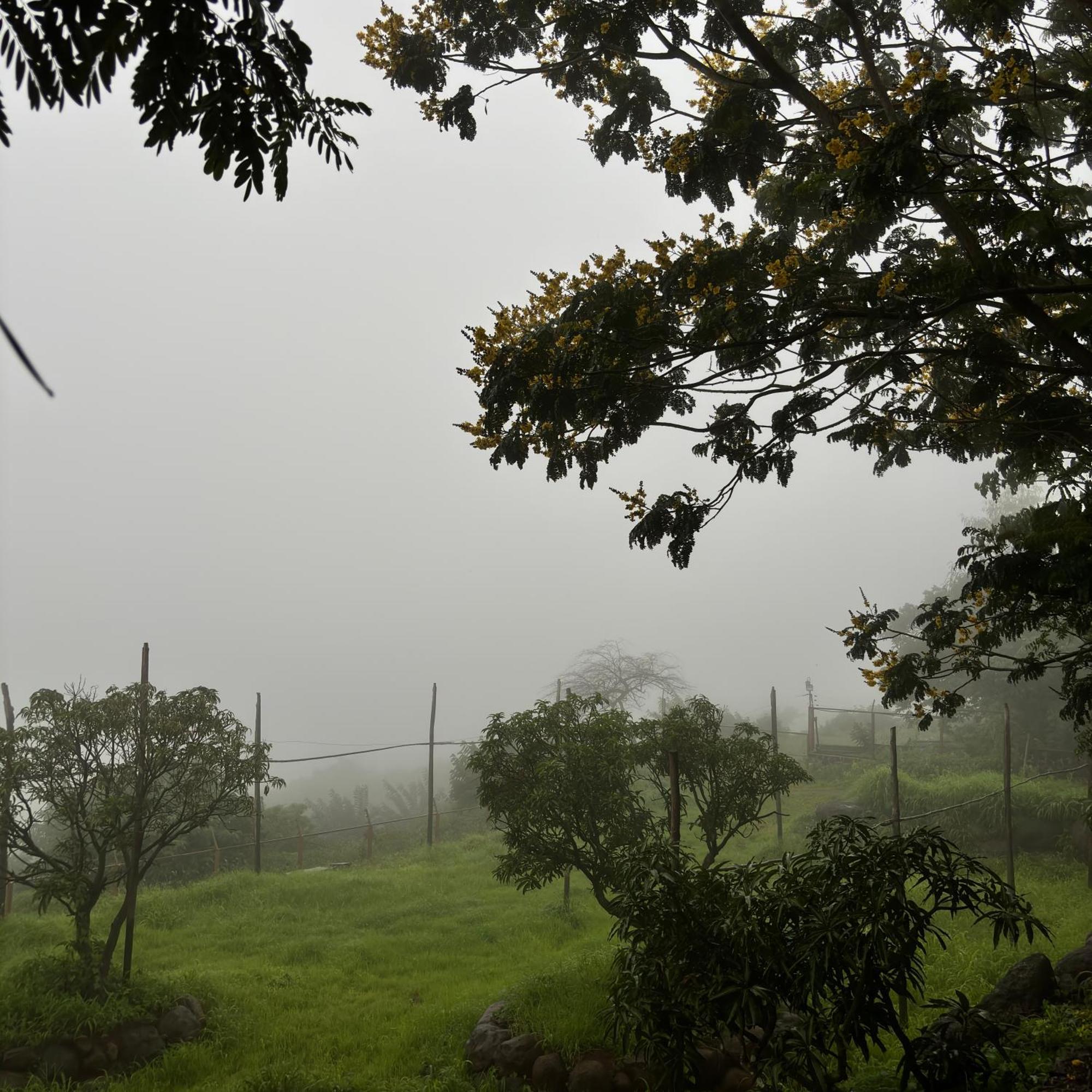 Nisarg Resort Kolhapur Bagian luar foto
