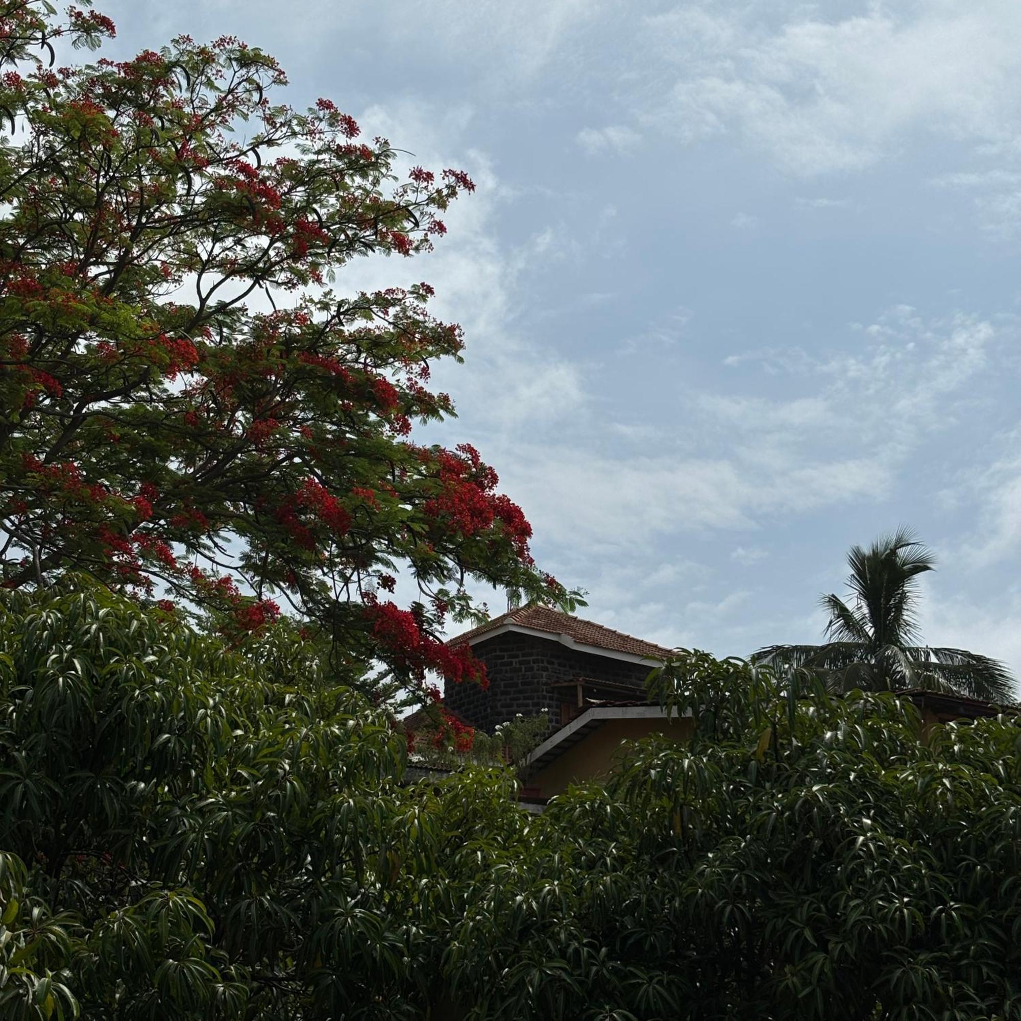Nisarg Resort Kolhapur Bagian luar foto